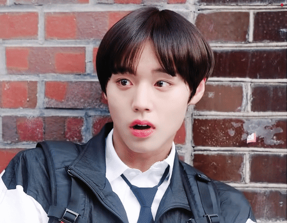 연애혁명 박지훈 너무 귀엽다 진짜 | 인스티즈