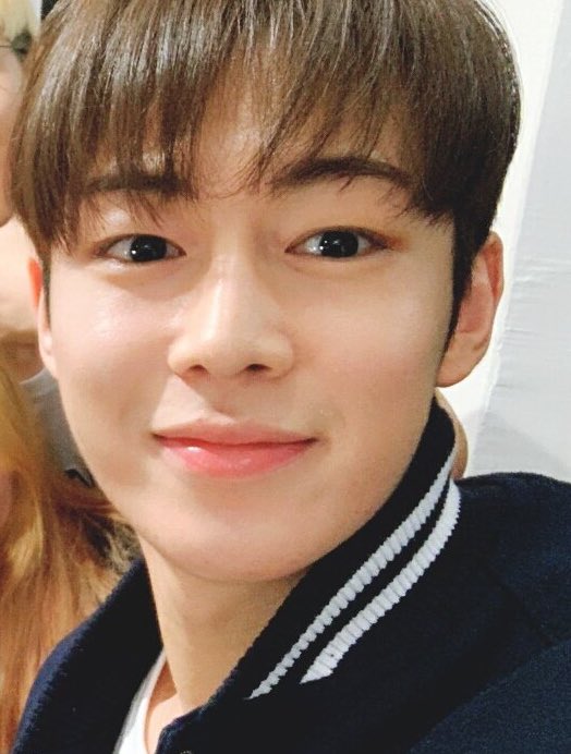 서울대를 갔어야했다 서울대를 | 인스티즈