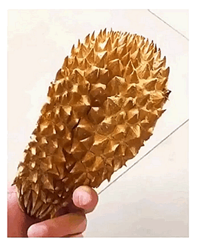 두리안 냄새 맡은 댕댕이 표정 | 인스티즈