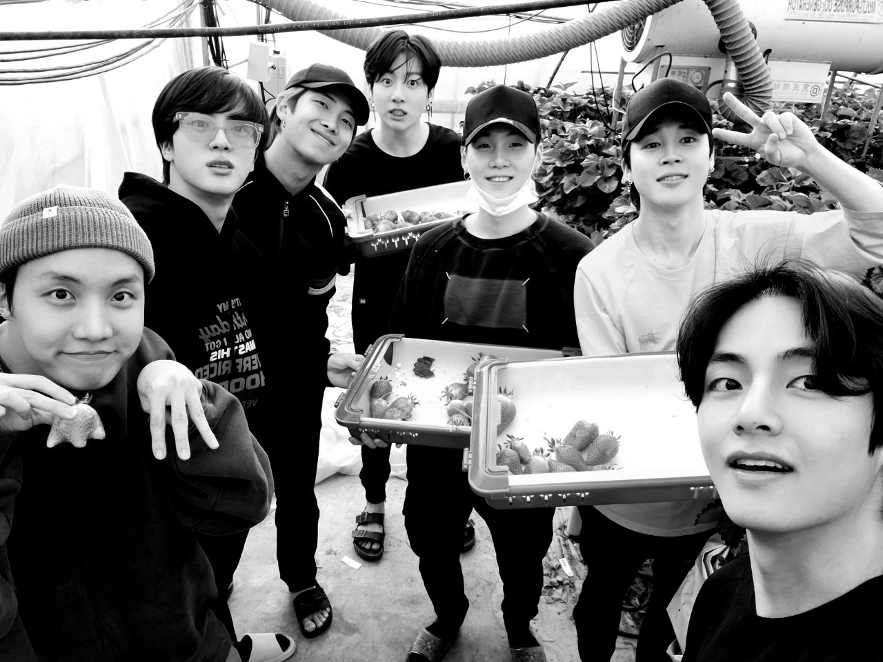 탄소들 녹이는 방법 나는 안다 알어 | 인스티즈