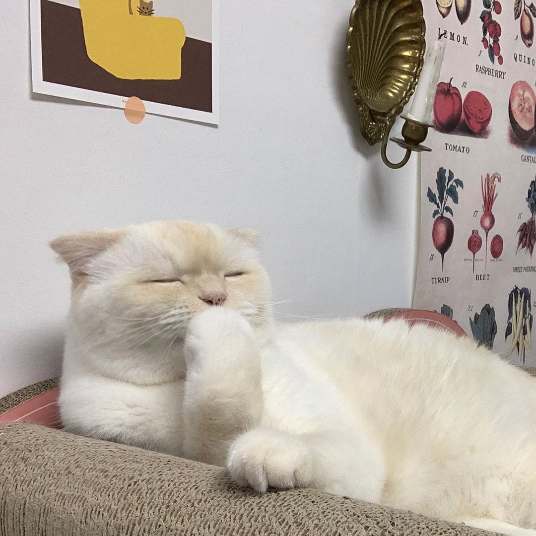 방탄 어그로들 어떡하니.. | 인스티즈