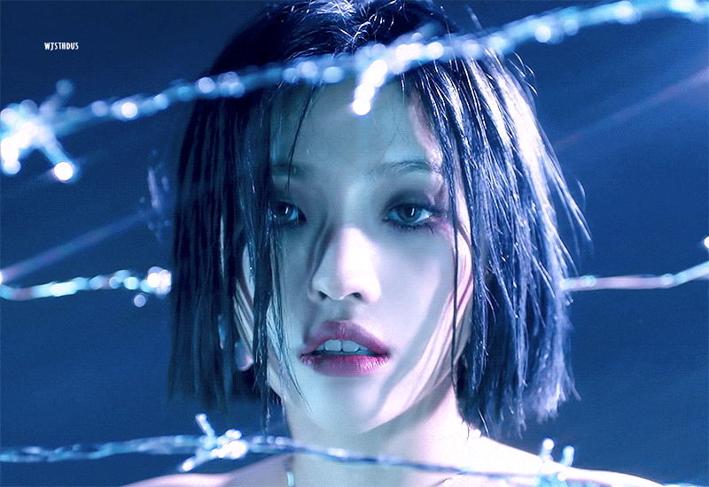 내가 좋아하는 연예인들 자랑해야지 | 인스티즈