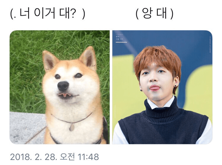 이거 되는 사람 있어?? | 인스티즈