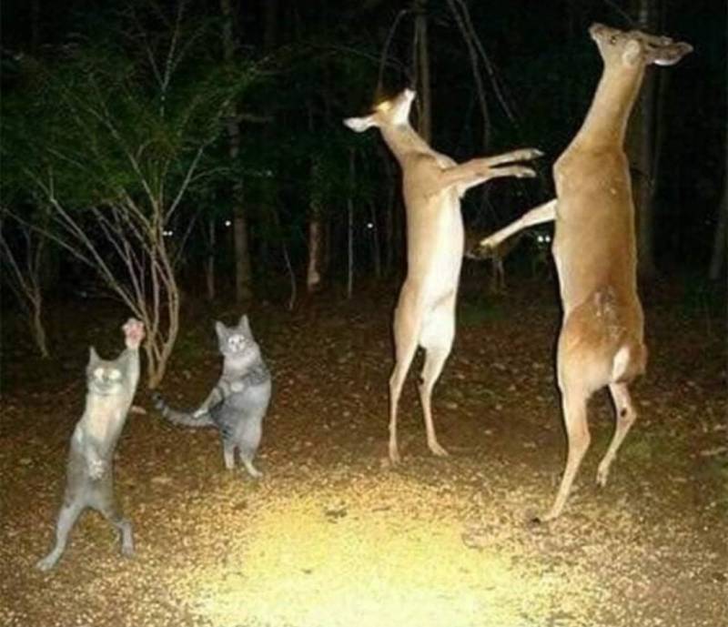 나 내년에 내 생일 선물 정함 | 인스티즈