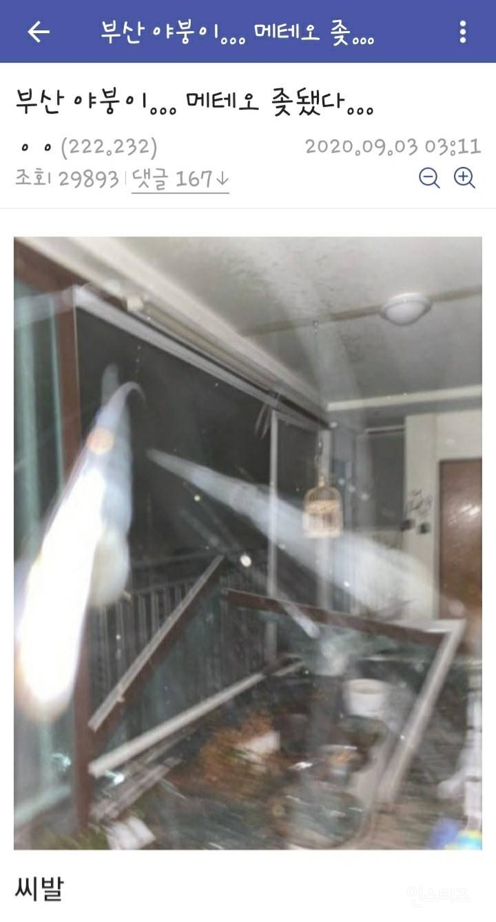 태풍때문에 큰일 난 야갤러 | 인스티즈