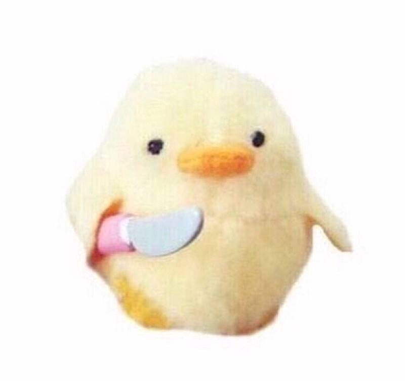 대익들아 교수님이 인강 퀴즈 내셨는데 성적 점수에 포함 안시킬거래 그럼 틀려도 상관없는거겠지??! | 인스티즈