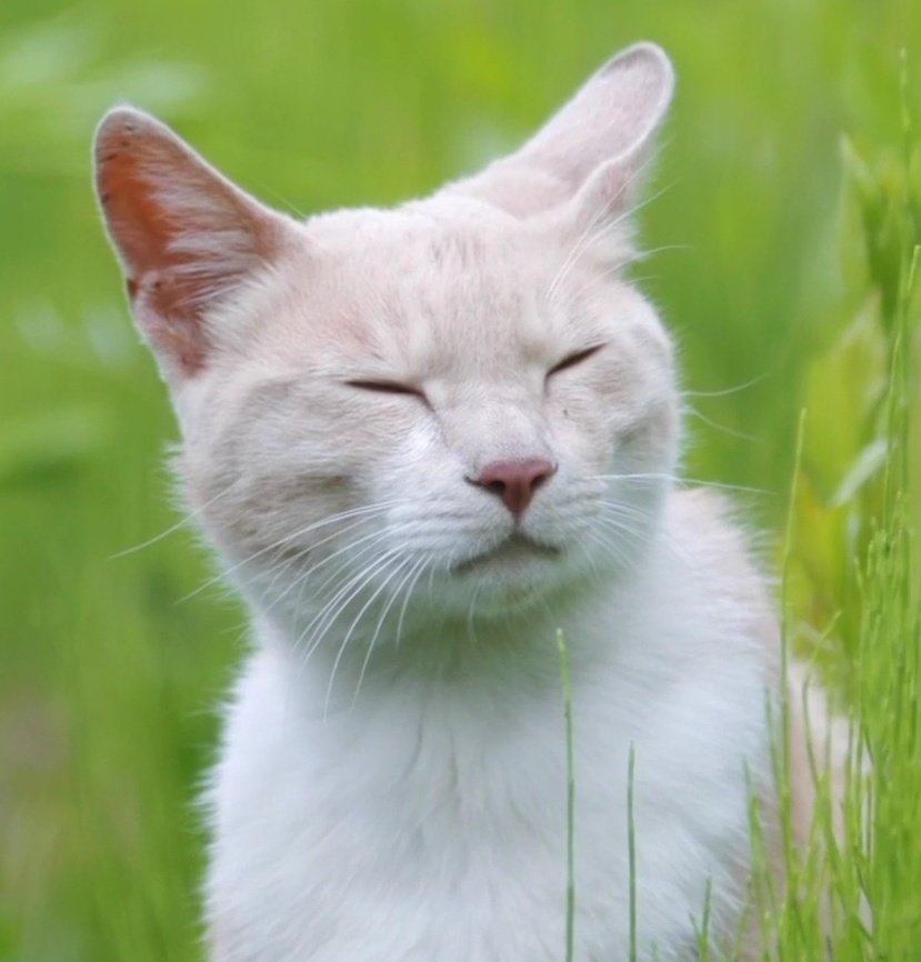 [마플] 마텔이 누구니? 물으신다면.. 대답해드리는 것이 인지상정 | 인스티즈