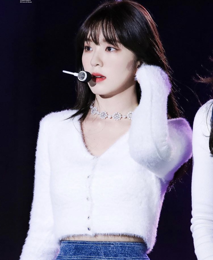 내기준 아이린 유독 더 예뻤던 날 사진들 | 인스티즈