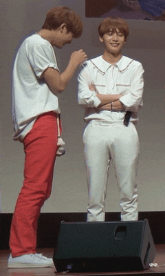 민규 완전 정한이가 키우는 강아지같앜ㅋㅋㅋㅋㅋ | 인스티즈