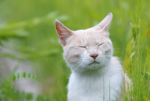 엥 이거 네명 다 방탄 슈가야? | 인스티즈