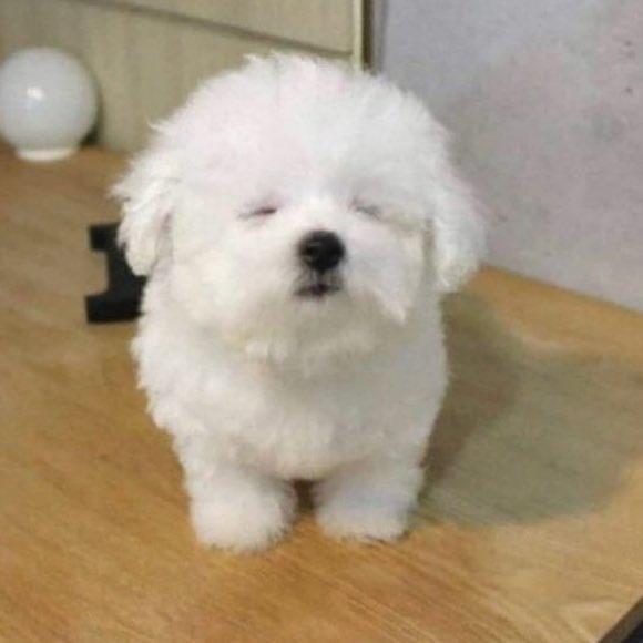 전정국 잘 자네 | 인스티즈