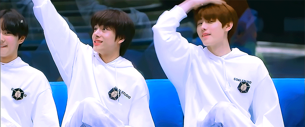 아이랜드 콩알이들 호로록 | 인스티즈