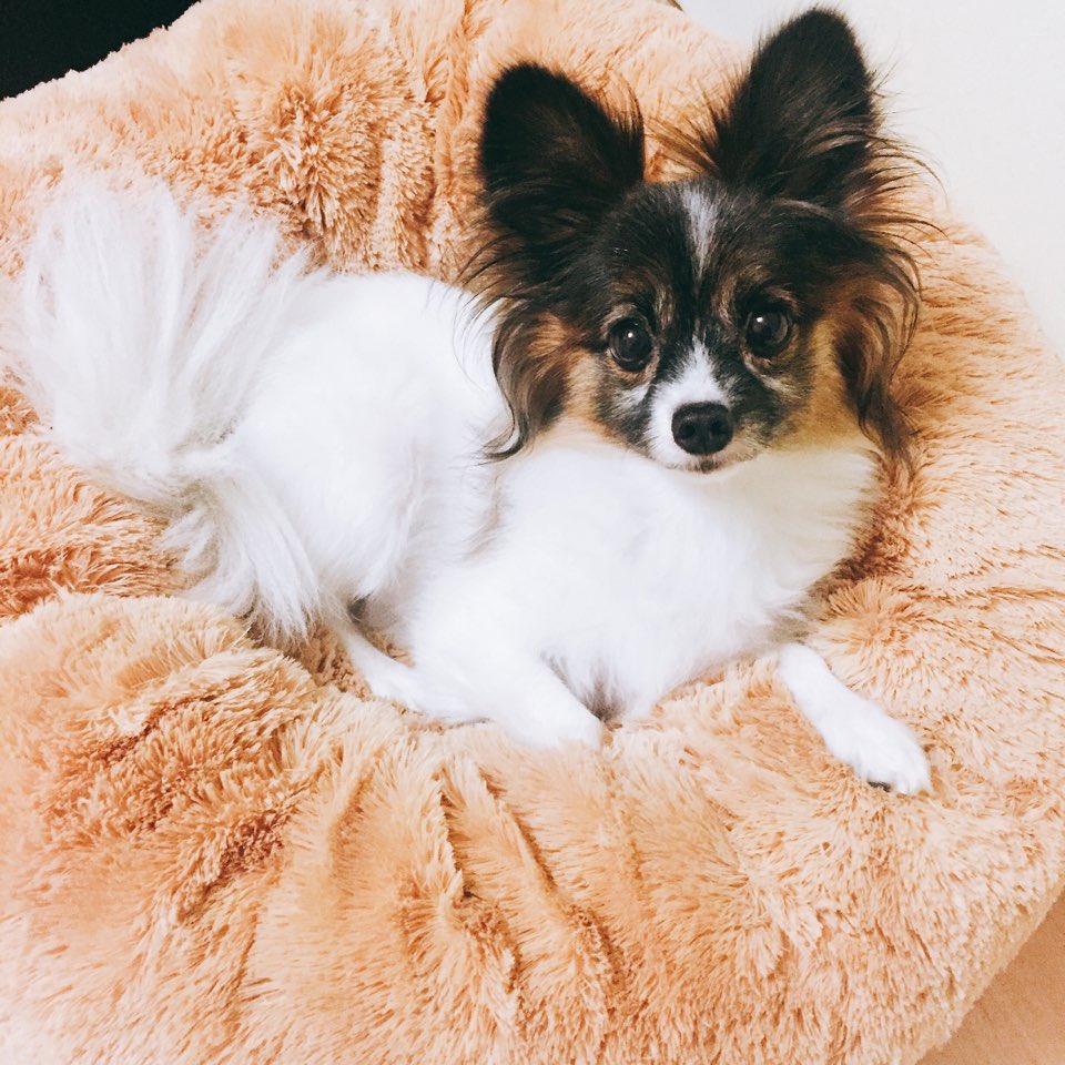 루비행복해야돼 | 인스티즈