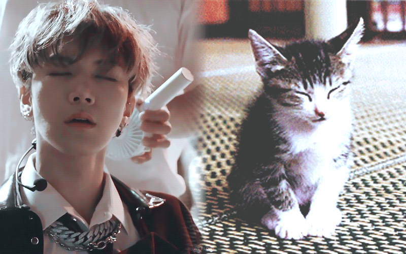 텐은 고양이다 | 인스티즈