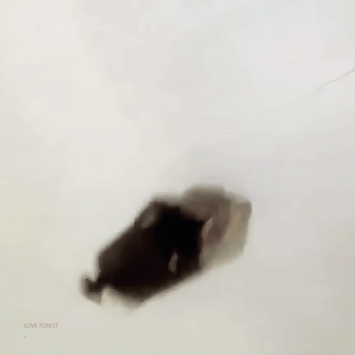 방탄팬들이 자꾸 브이앱 켜달라고 하는데 어떻게 생각해? | 인스티즈