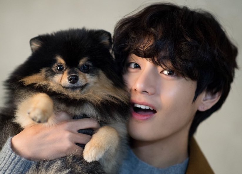 💜오늘은 방탄 뷔 태형이네 사랑둥이 연탄이의 생일입니다💜 | 인스티즈