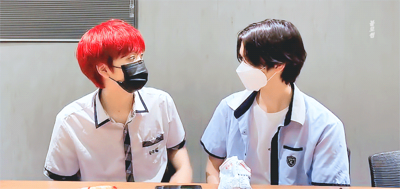 자려고 해도 강쥐즈 브이앱 생각나서 못 자겠음 | 인스티즈