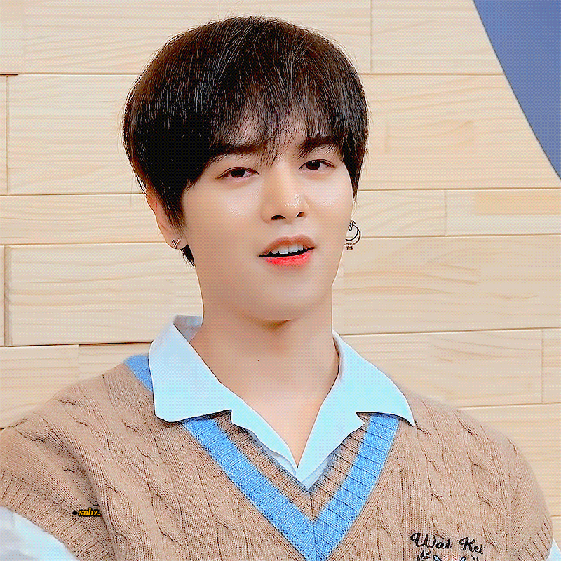 김영조는 순두부? 고양이? | 인스티즈