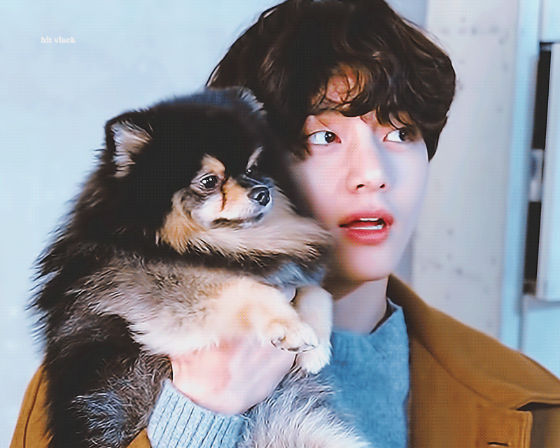 우리 연탄이 생일축하하고 사랑해🤩 | 인스티즈