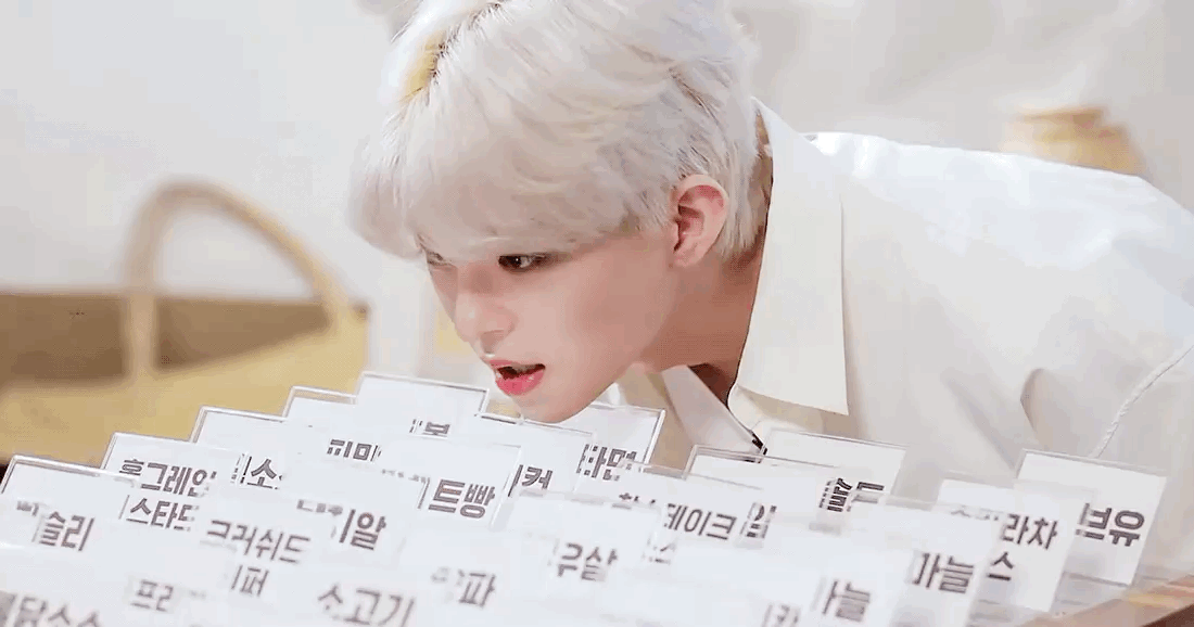 진짜 이 하얀고양이 | 인스티즈