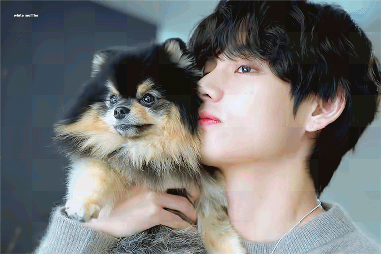 근데 요즘엔 곰도리가 강아지도 키우네... | 인스티즈