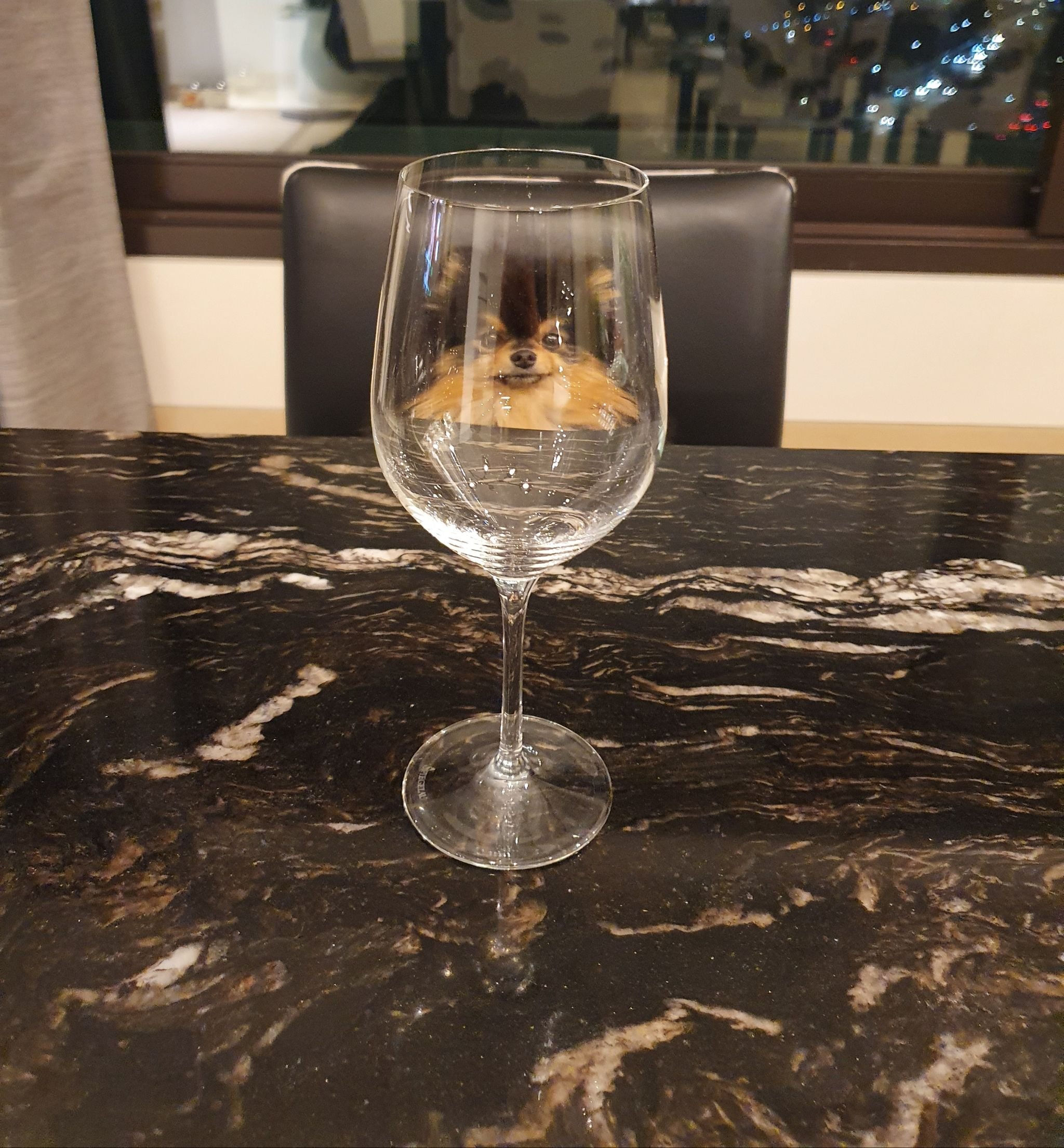 [미디어] 연탄이 | 인스티즈