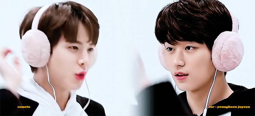 ㄱ 쥬빵 이짤 너무귀엽다구... 강아지 고양이 | 인스티즈