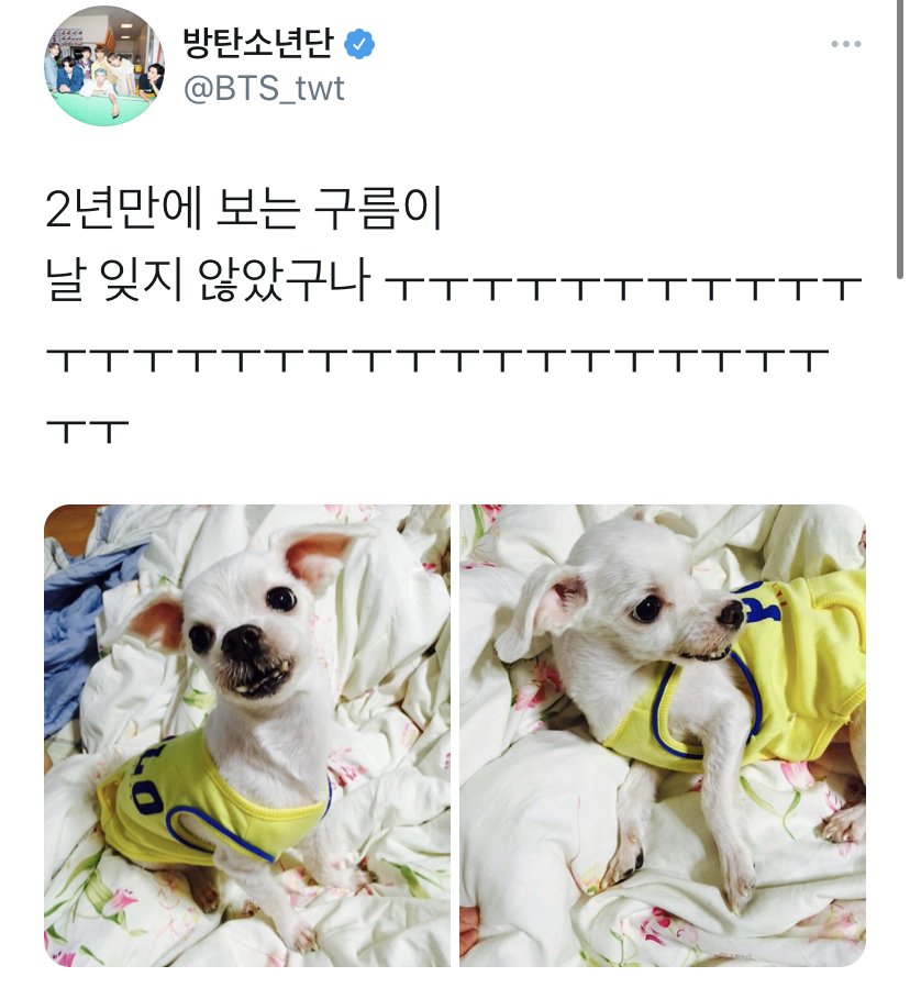 나 정국이 ㅠㅠㅠㅠㅠㅠㅠ 이거 많이 쓰는게 되게... 되게 초면이야...... | 인스티즈