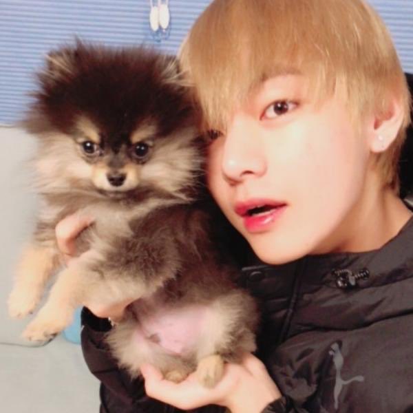 아 연탄이 귀엽다ㅋㅋㅋㅋ | 인스티즈