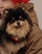 됐고 김연탄 사랑해💜 | 인스티즈