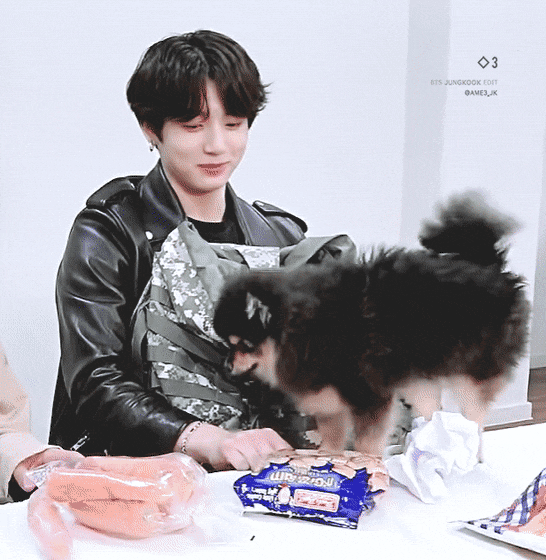 연탄이 강아지 친구 생겼네ㄷㄷ | 인스티즈