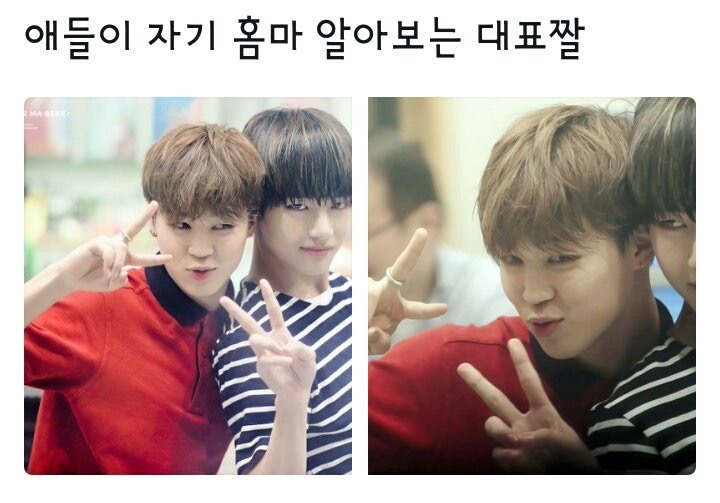 탄소들아 예지력 훈련하자 애들 각자 홈마 알아보는 거 엄청 신기해 ㅋㅋ! | 인스티즈