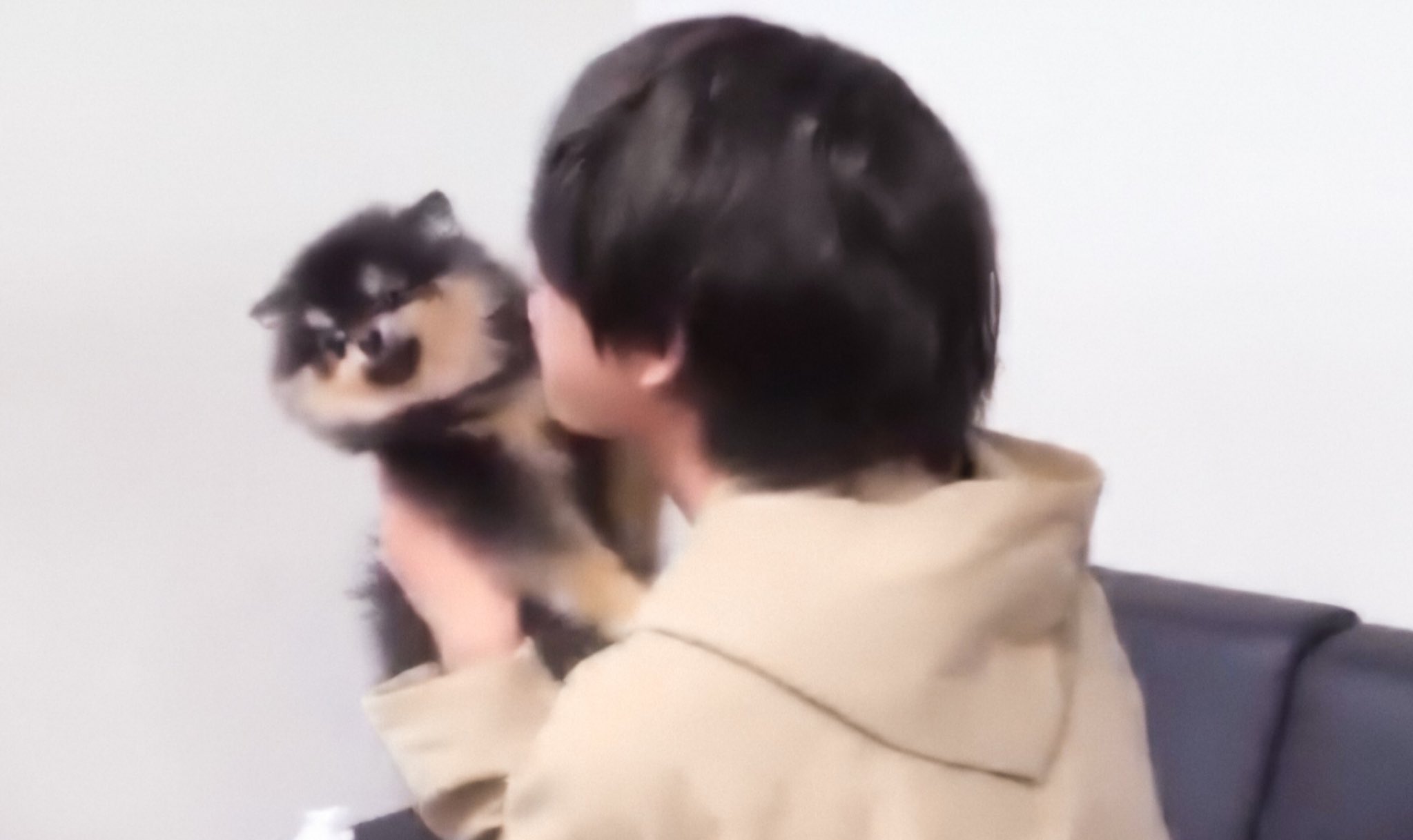 김연탄 왜 주인 피해 | 인스티즈