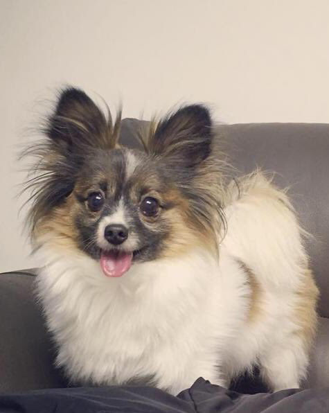 근데 루비 진짜 이쁘지 않아??!! | 인스티즈