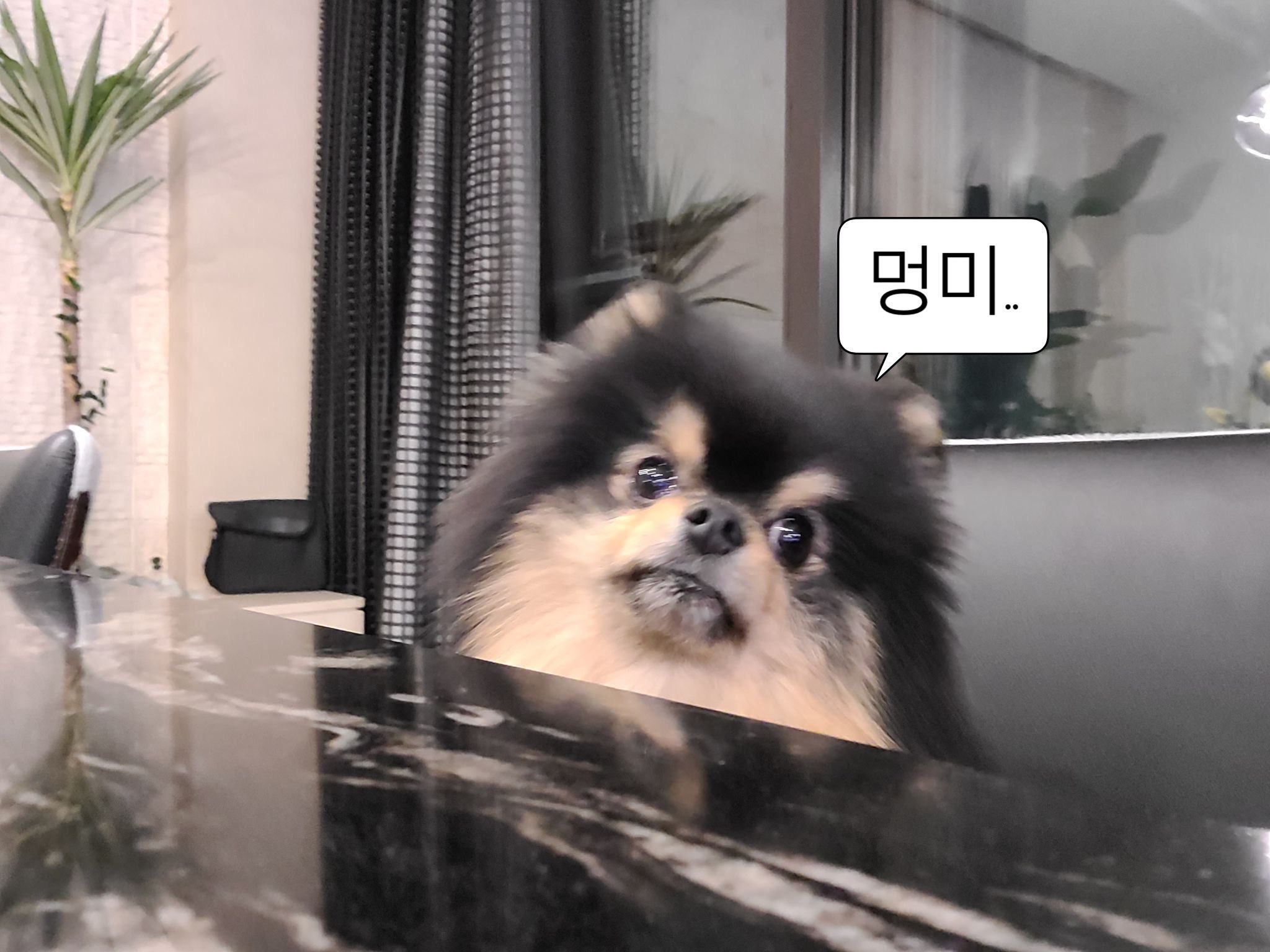 우리 연탄잉 생일 추카해💜💜💜 | 인스티즈