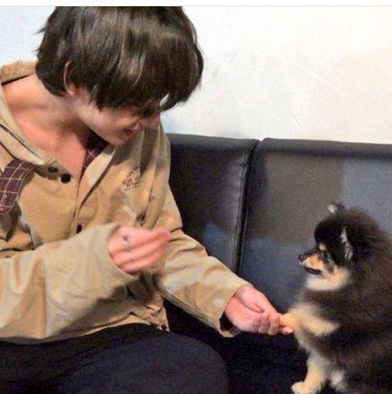 [미디어] 연탄이 엄마가 가져온 연탄이 사진들 | 인스티즈