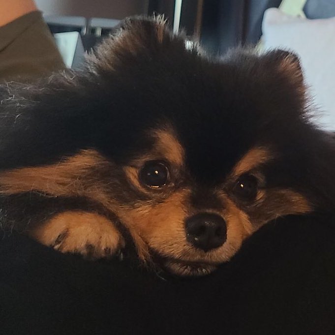 우리 연탄잉 생일 추카해💜💜💜 | 인스티즈