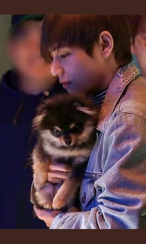 [미디어] 연탄이 엄마가 가져온 연탄이 사진들 | 인스티즈