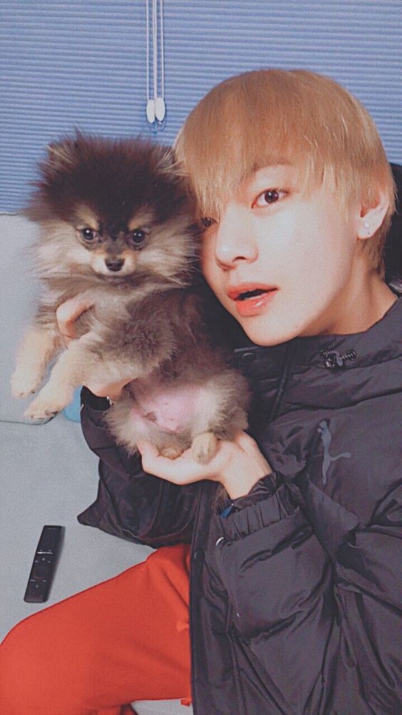 [미디어] 연탄이 엄마가 가져온 연탄이 사진들 | 인스티즈