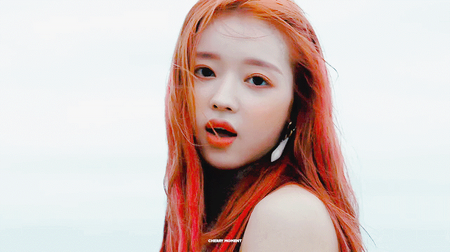 와 그럼 나도 완식 셋 간다 | 인스티즈