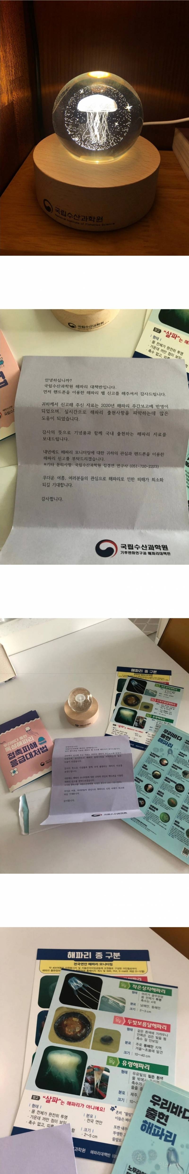 신혼여행 가서 해파리에 쏘인 사람이 국립수산과학원으로부터 받은 것 | 인스티즈