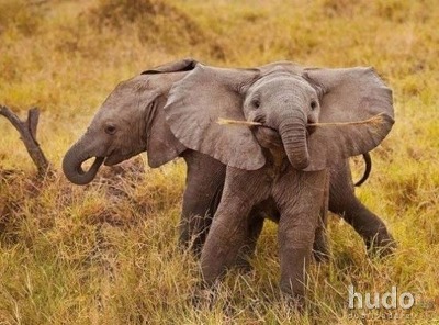 이번학기 학교 갈까..? 경기도에 있는 대학교 임... | 인스티즈