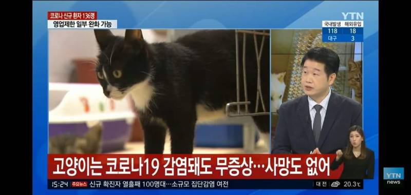 고양이.. 그는 대체..... | 인스티즈