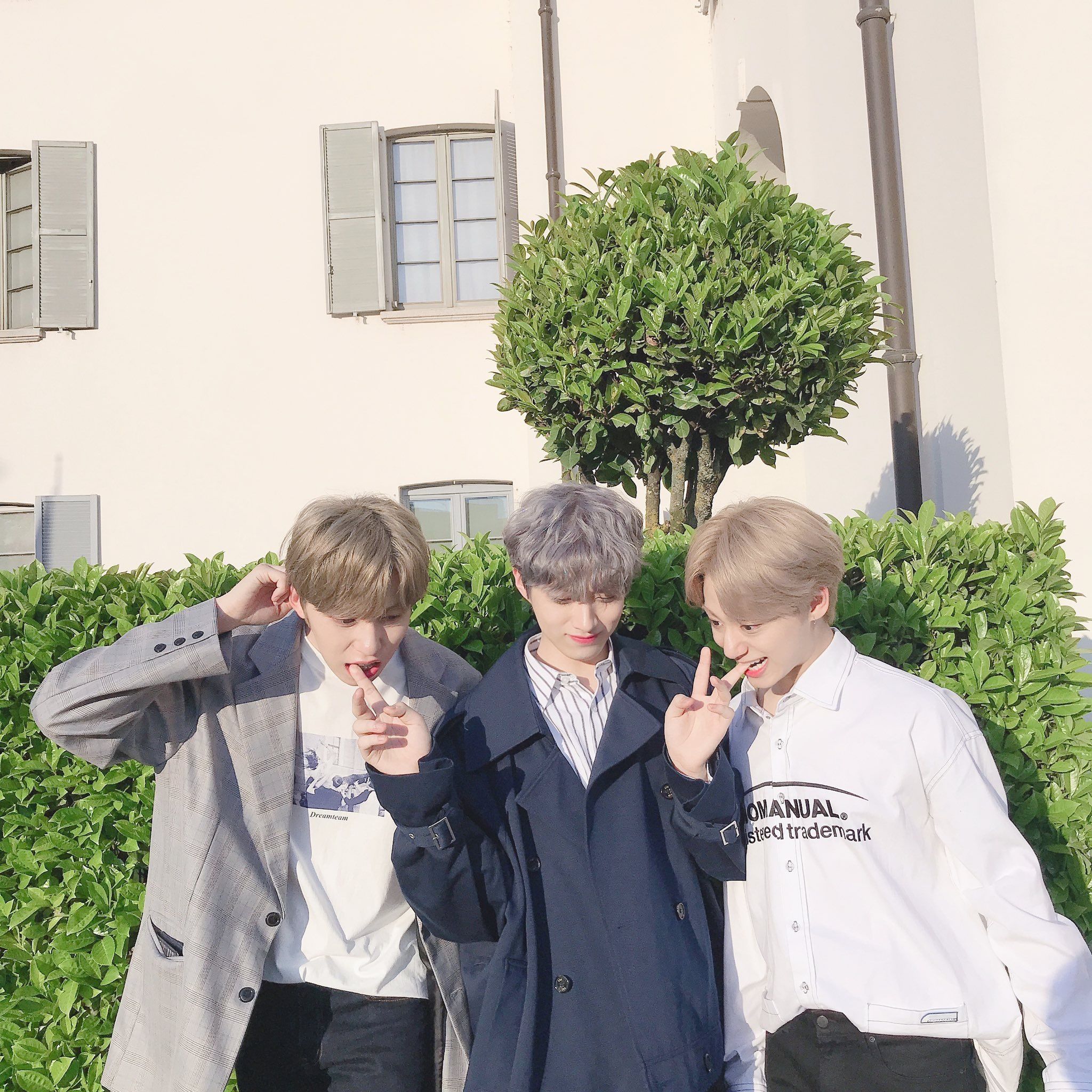 내가 좋아하는 원어스 달님단 사진 | 인스티즈