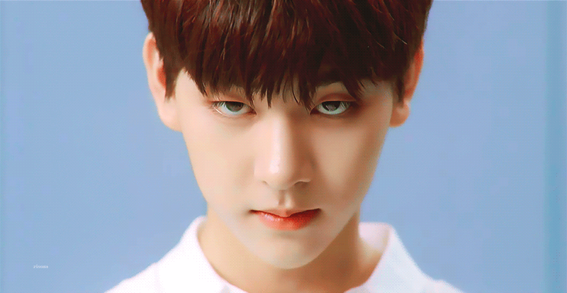 드리핀 황주김차 얼빡 🐻🐶🐶🐶 | 인스티즈