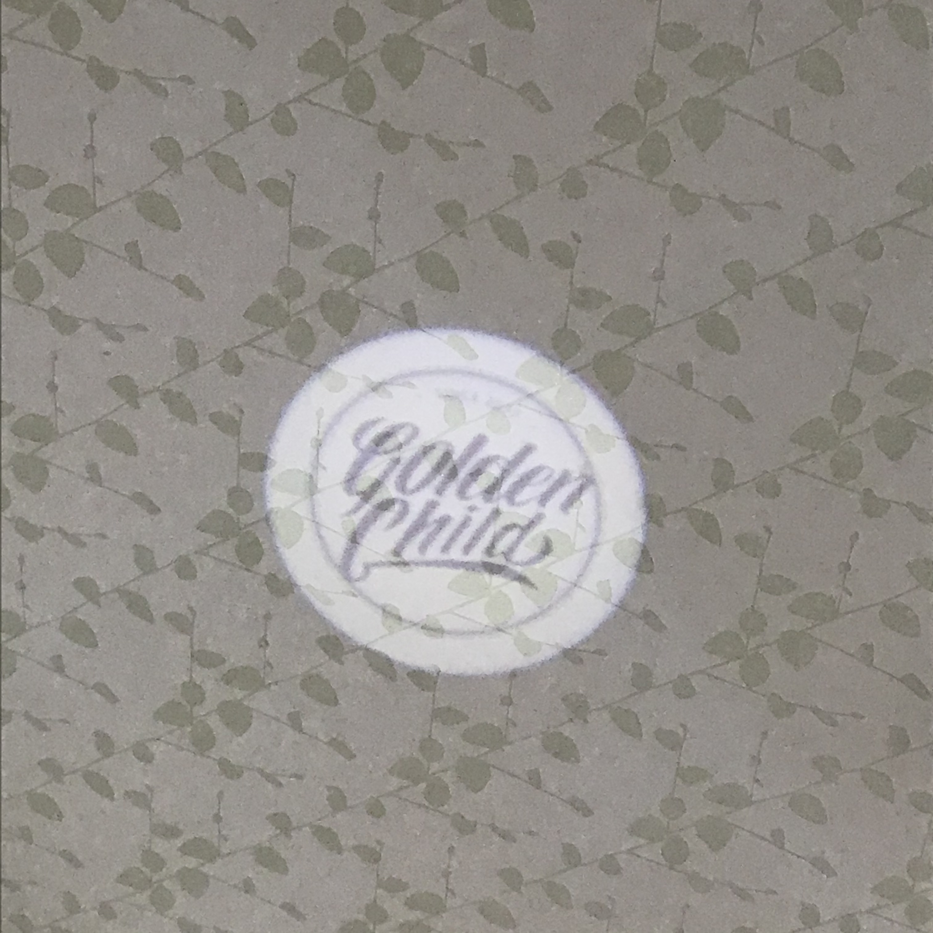 골차들아 써치라이트 키자 | 인스티즈