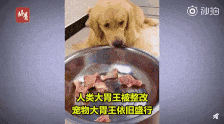 사람 먹방 규제 당하니까 어나더 클라쓰로 미친짓하는 중국 | 인스티즈