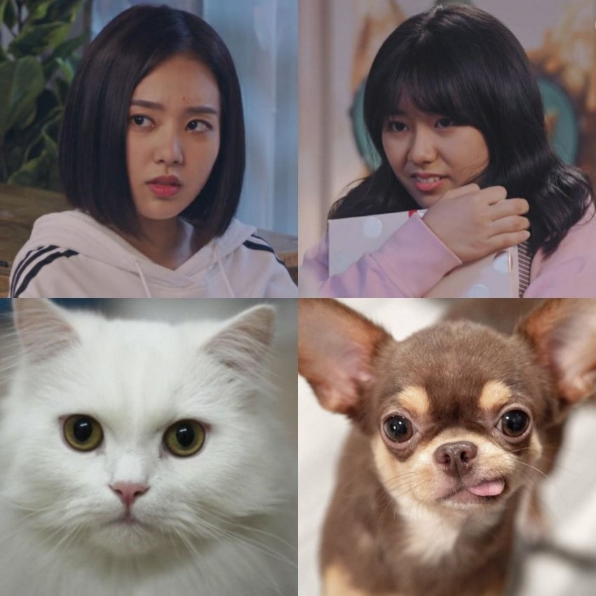 드라마 연애혁명 사약길... | 인스티즈