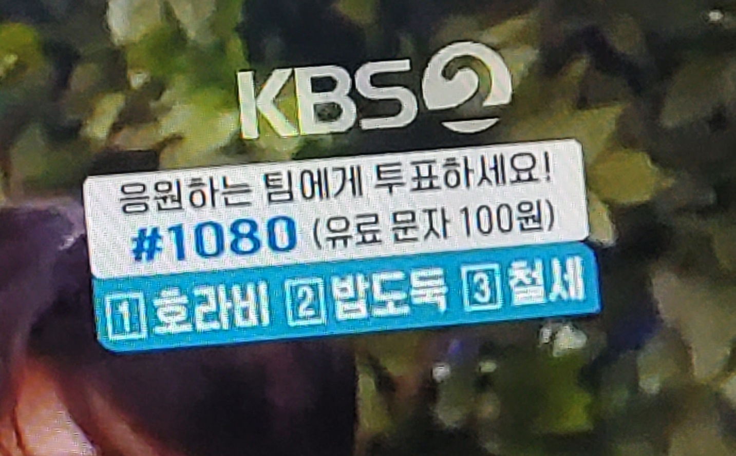 내가 1박2일에서 문투를 볼줄이얔ㅋㅋㅋㅋㅋ | 인스티즈