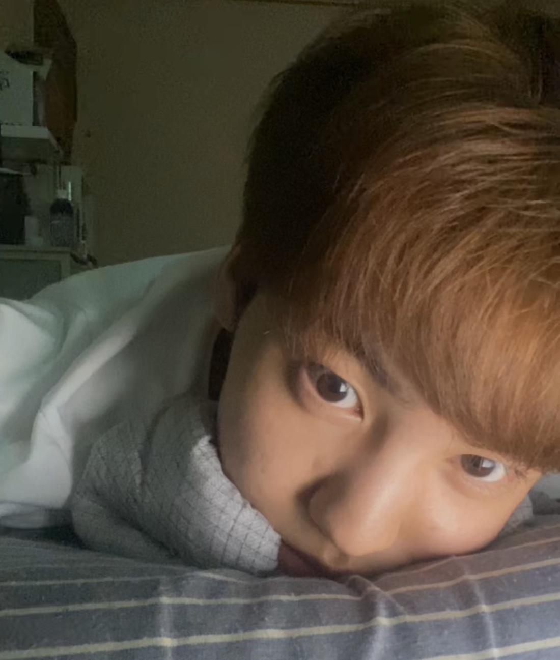 송유빈은 팬들이 강아지로 모에화 하는게 아니야 | 인스티즈